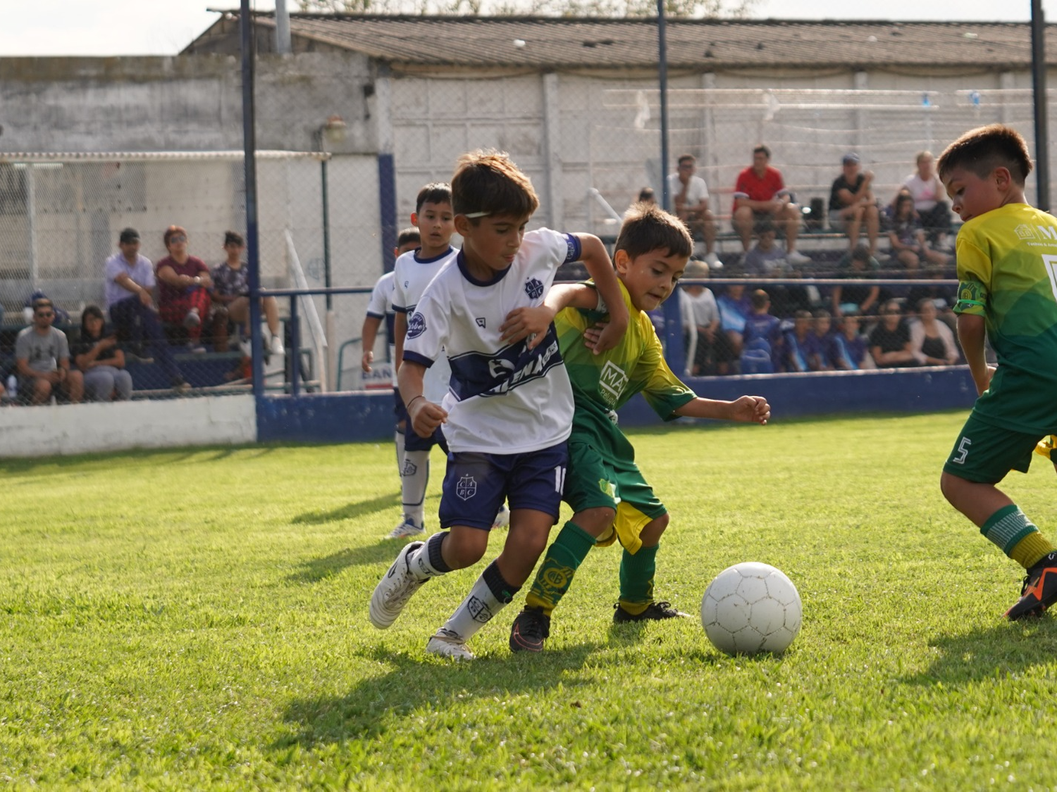 Se jugó la undécima fecha del Apertura