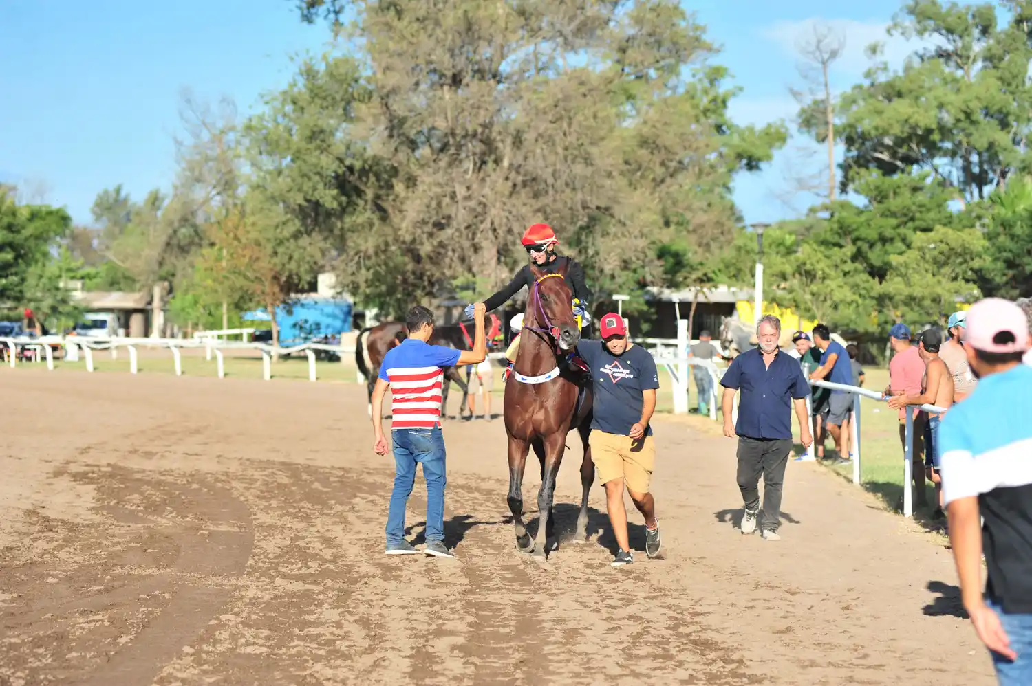 Siete ejemplares serán parte del "Boero" sobre la recta de 1.000 metros.