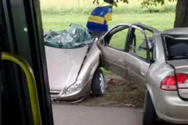Un auto chocó contra un árbol y se partió por la mitad: cuatro muertos