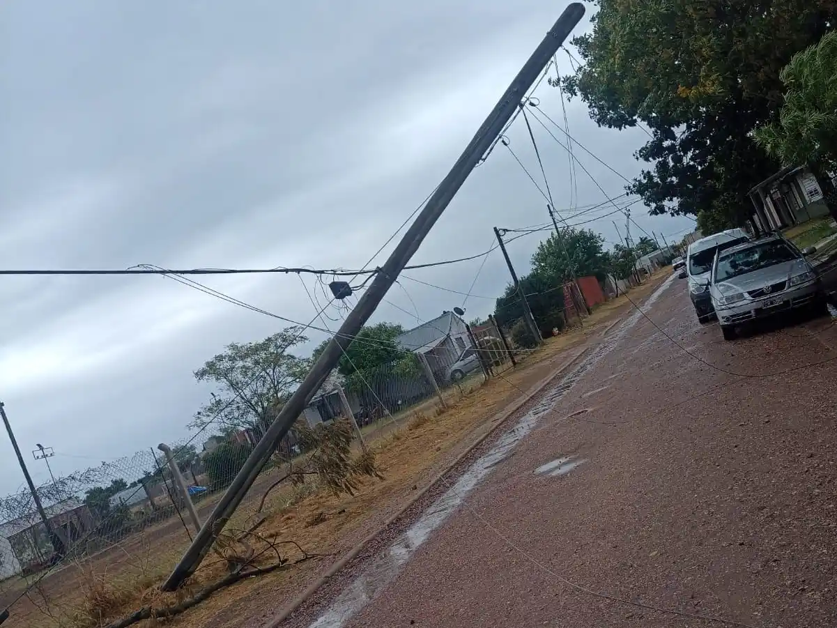 La tormenta dejó a su paso árboles y postes caídos en distintos puntos de la ciudad
