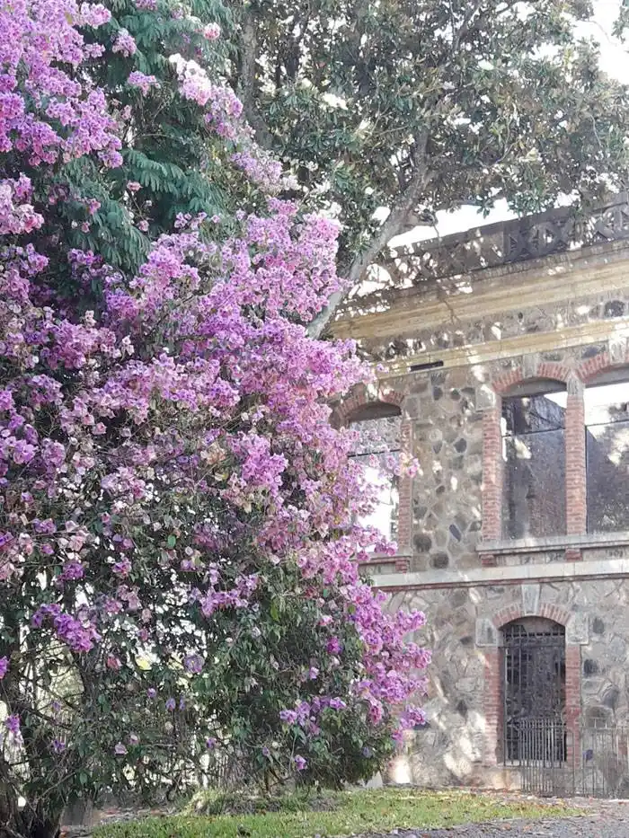 Este viernes  presentarán la temporada  de verano en Entre Ríos