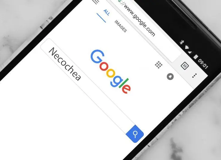 ¿Qué es lo que más se busca en Google referido a Necochea?