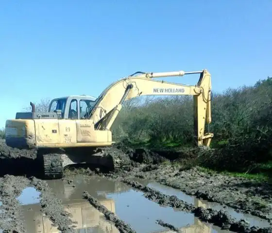 El Municipio y los caminos rurales