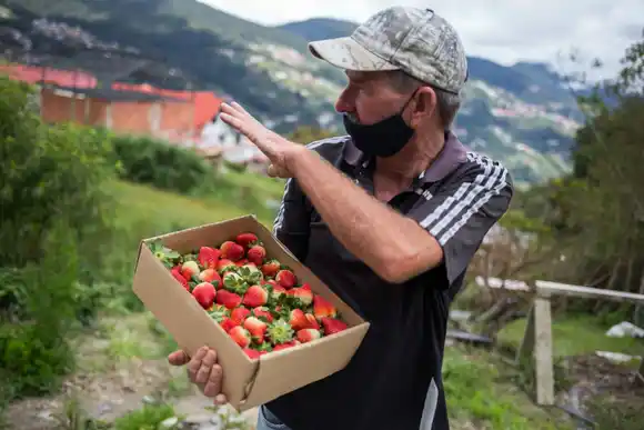 Venezuela confirma 280 nuevos casos por COVID-19 y dos fallecidos