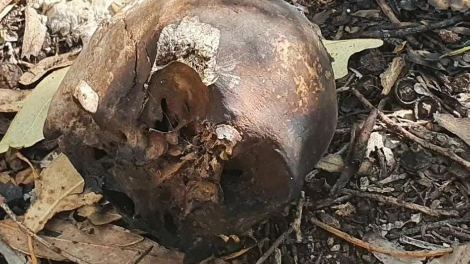 "Sabemos que llevaron el cráneo a la morgue y están investigando el caso"