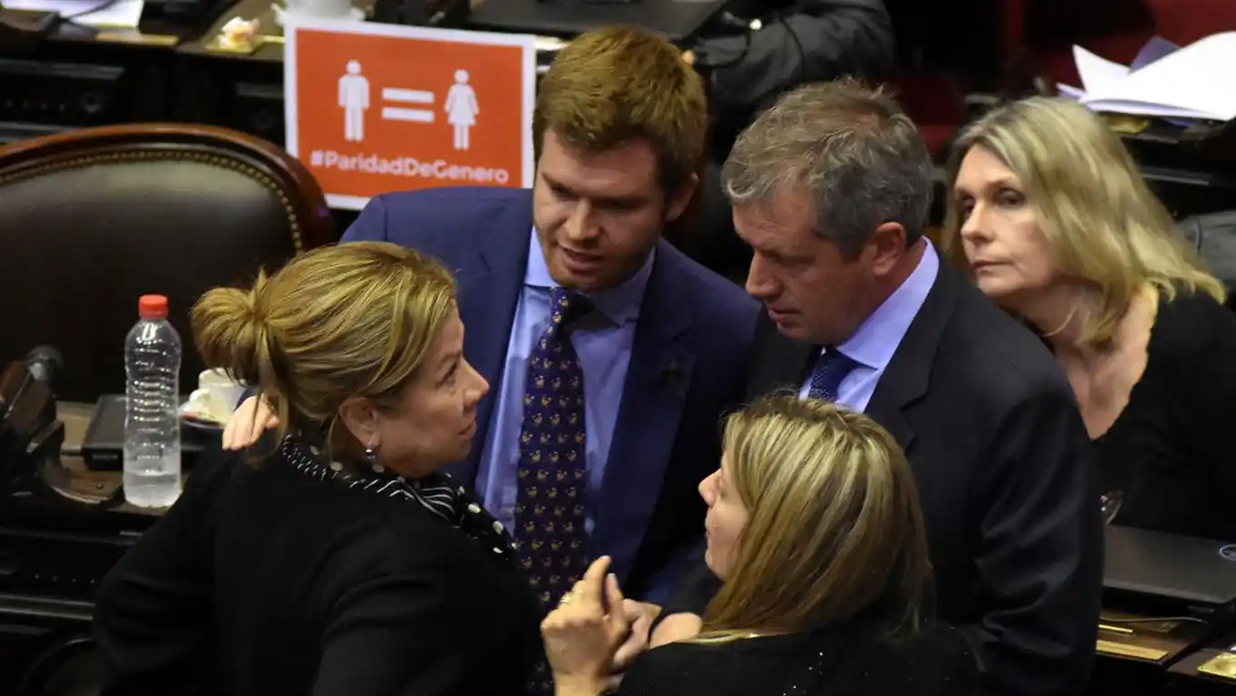 Diputados convirtió en ley la figura del arrepentido