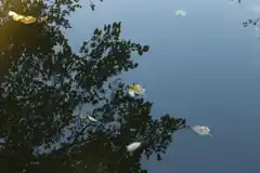 Se conocen los participantes que integran la primer residencia artística entrerriana con matriz de agua