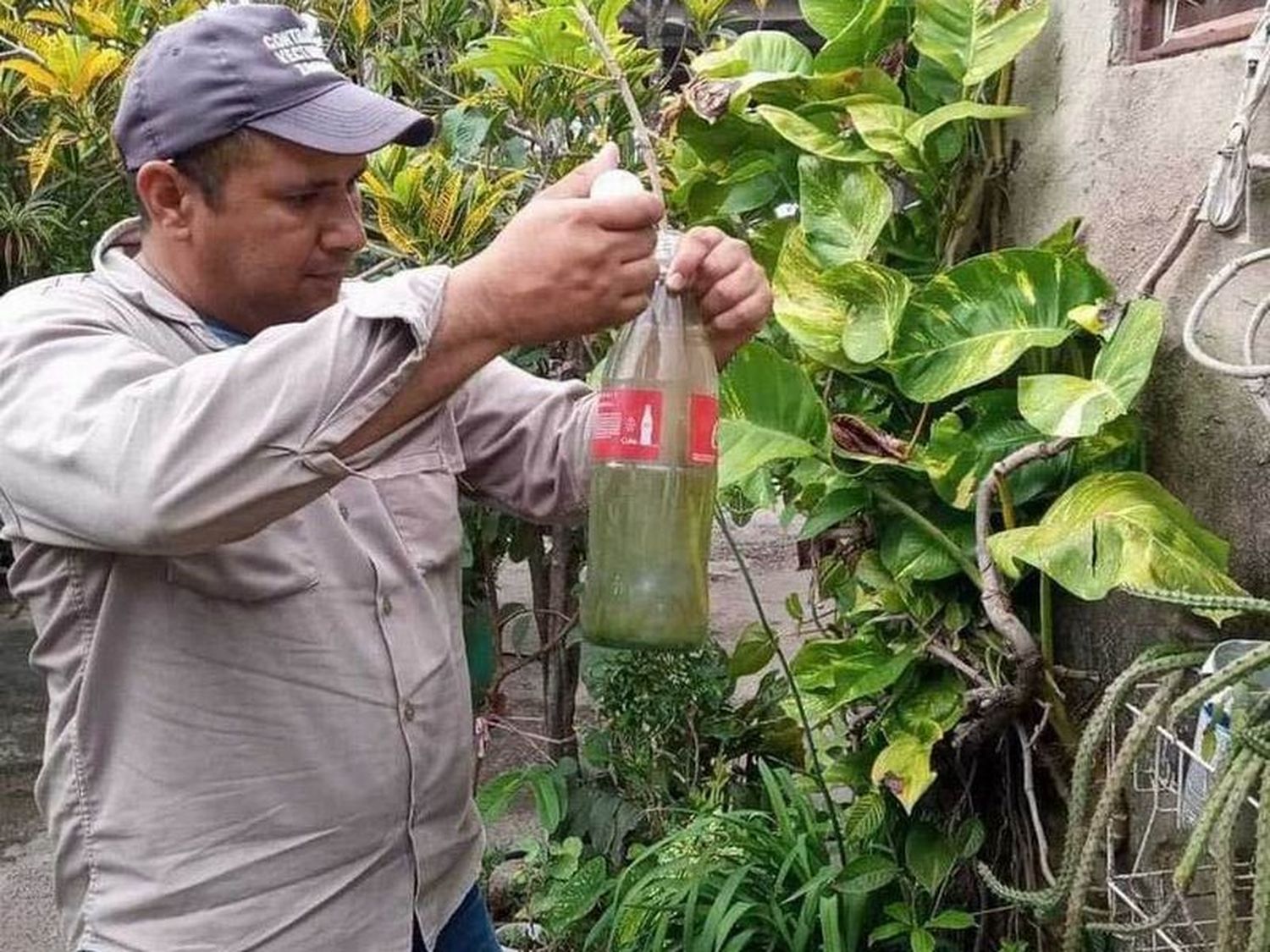 Desde el comienzo de año descendieron
los casos de dengue en la provincia