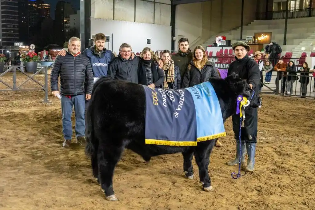Santa Rosa y Don Romeo, los mejores terneros Angus de Palermo