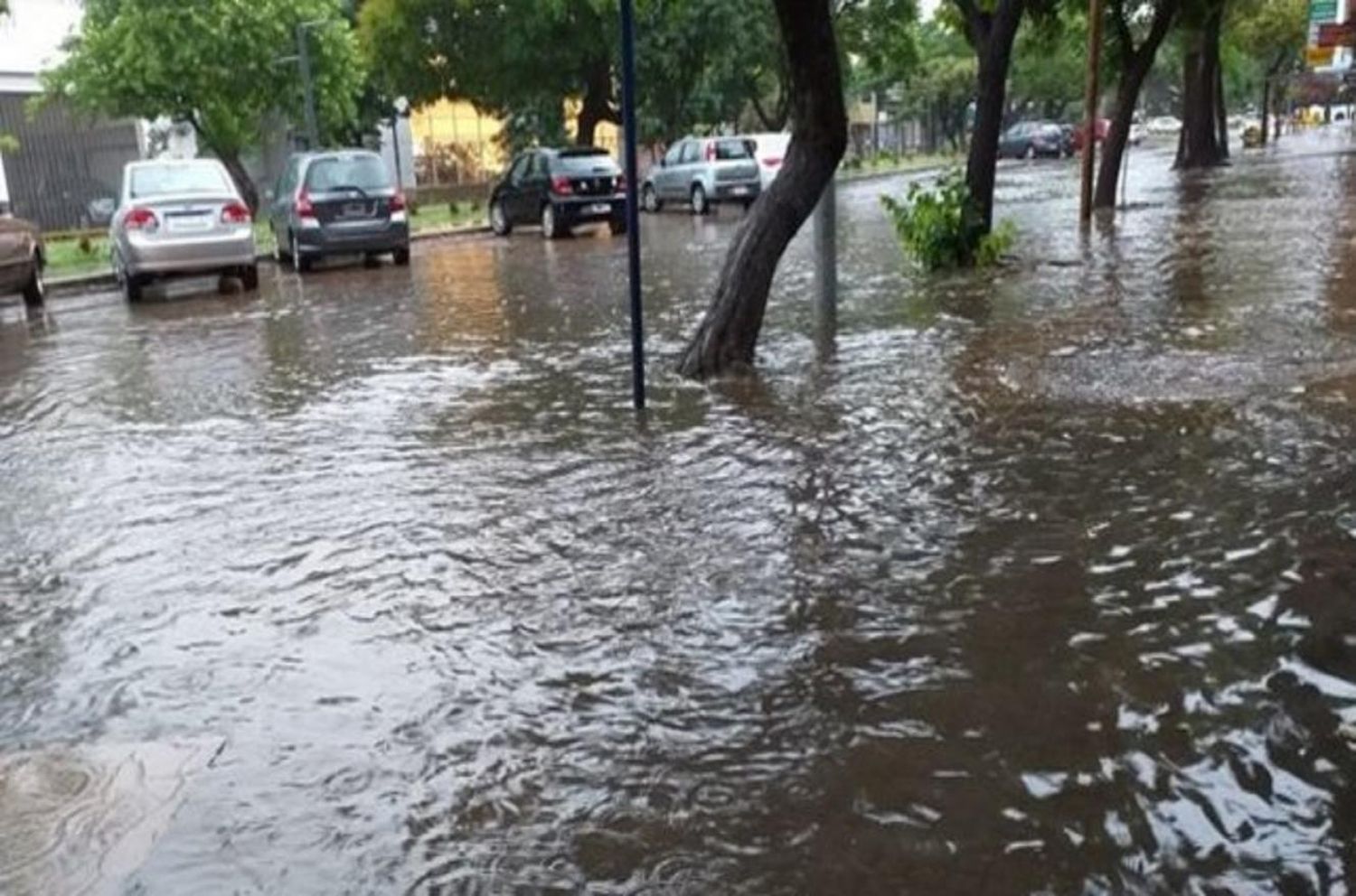 El temporal azotó a Paraná: hubo voladuras de techos y árboles caídos
