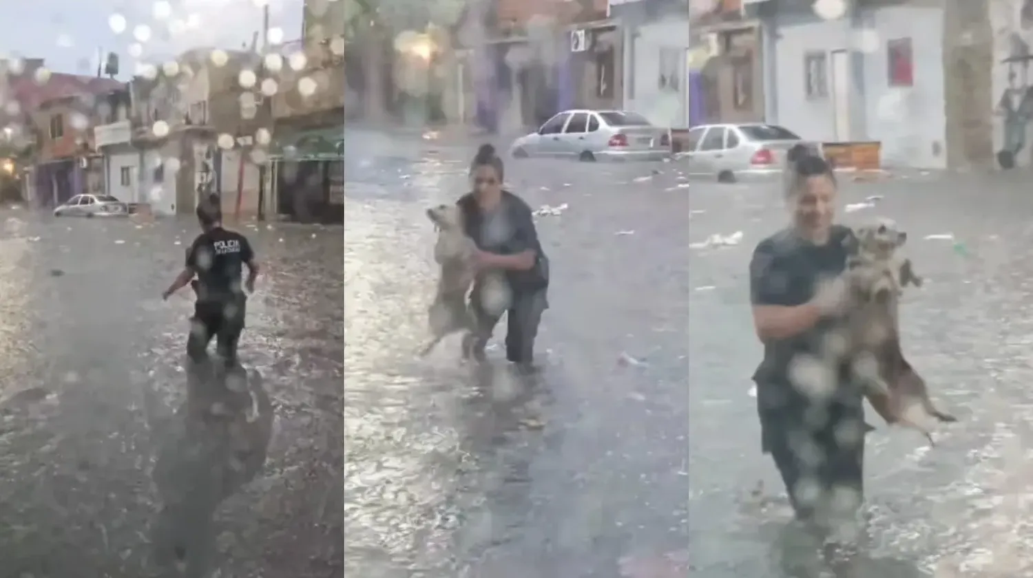 Emotivo gesto