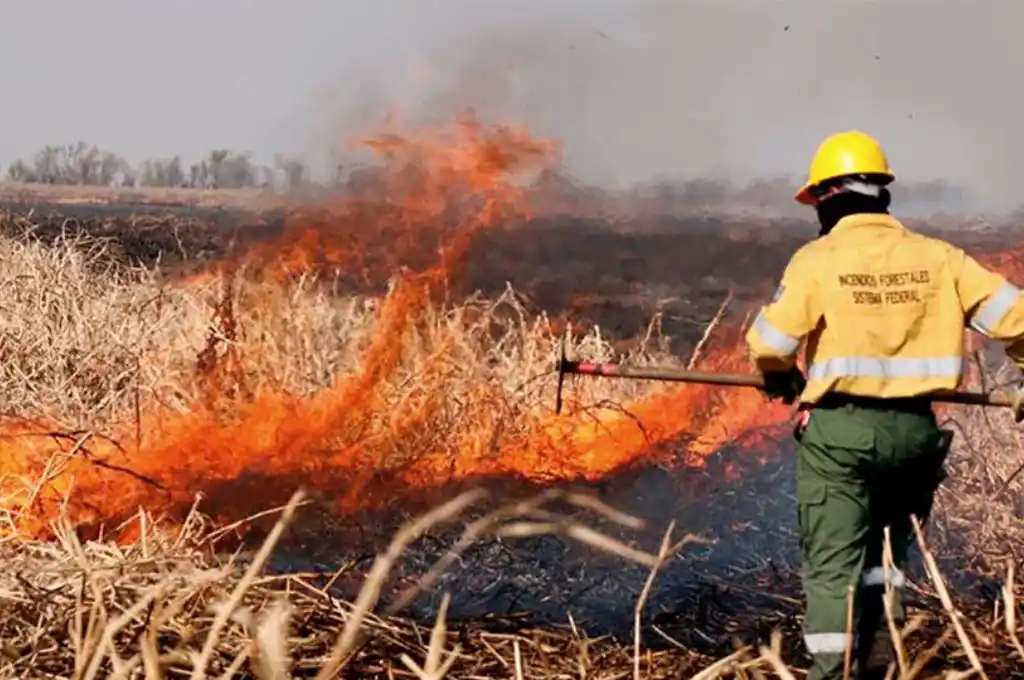 Santa Fe se presentará ante la Justicia por los incendios en el Delta