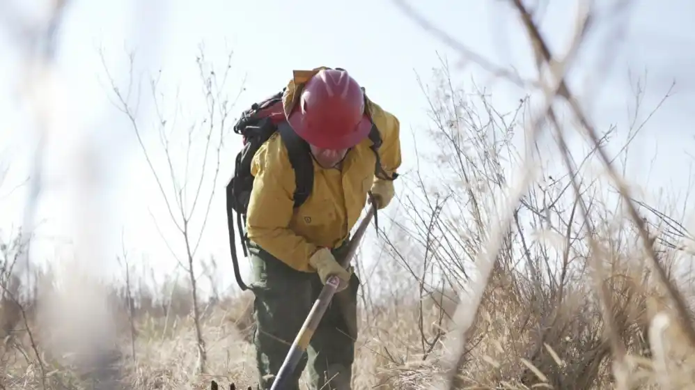 Intensifican los trabajos en focos ígneos en la ribera del Carcarañá