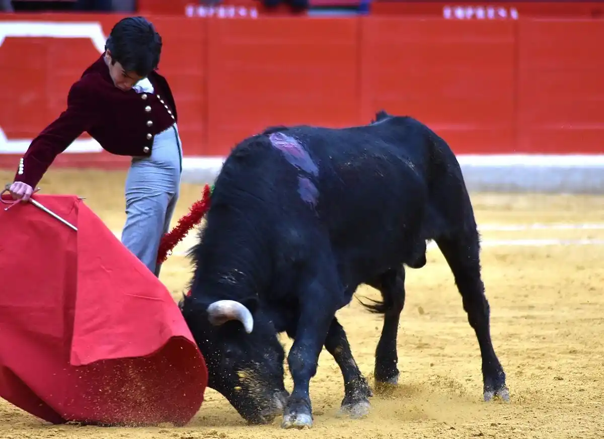 Por PRESENCIA DE MENORES DE EDAD en corrida de toros suspenden temporada taurina