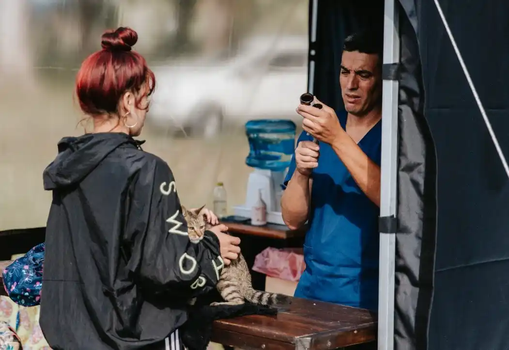 Más de 100 castraciones y más de 300 aplicaciones de vacunas y desparasitarios para perros y gatos se realizaron este sábado en un predio de Mario Bravo al 3800.