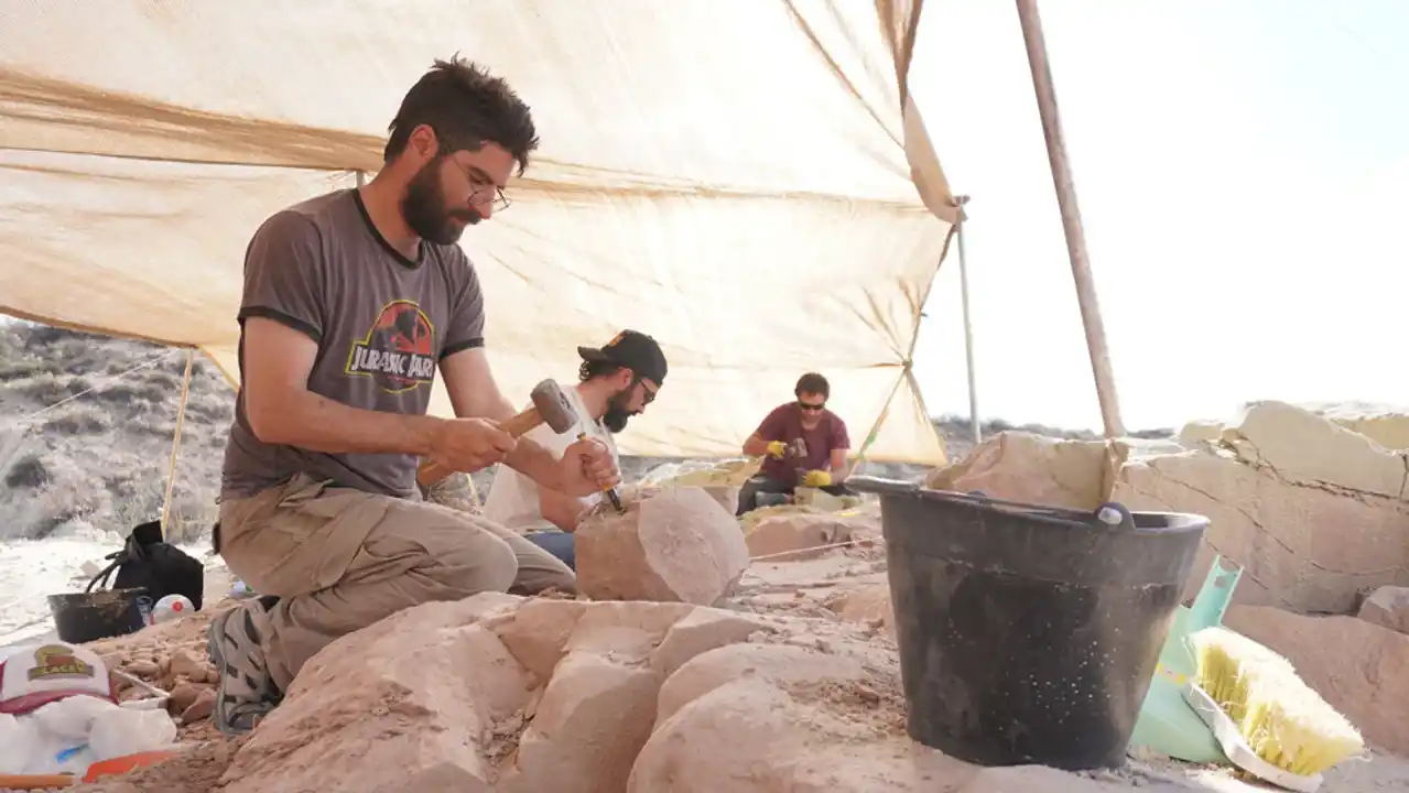 Científicos del CONICET trabajan en General Roca (Río Negro).