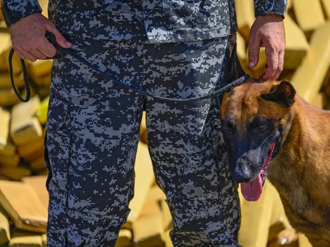 AFP