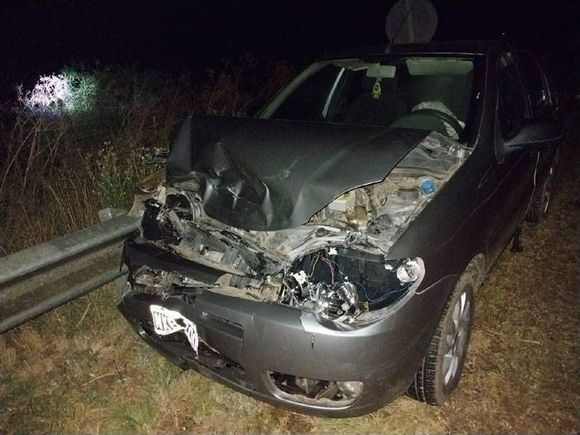 Un ternero se atravesó en la calzada  y casi provoca una tragedia