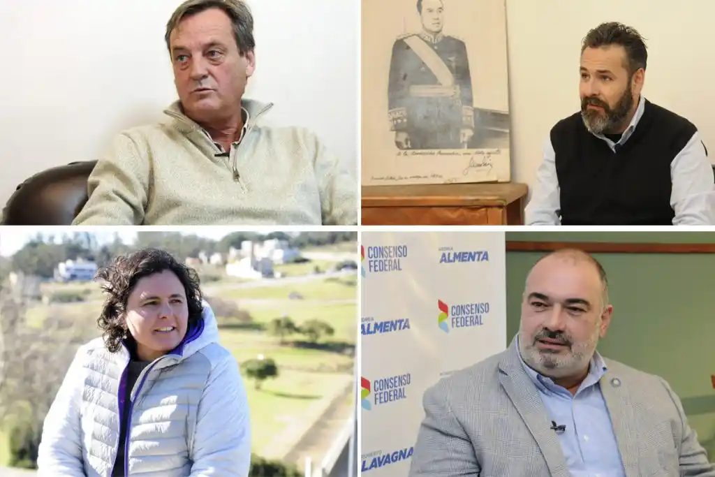Elecciones 2019 en Tandil: ¿Quiénes son los precandidatos a concejales?