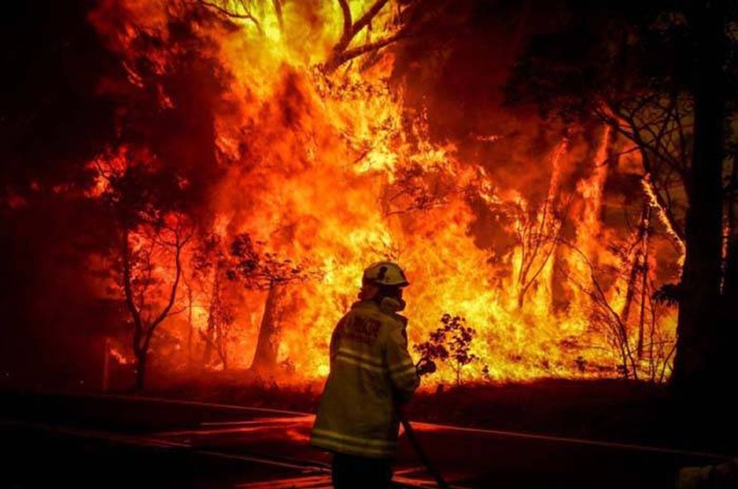 El Gobierno declaró  la emergencia ígnea  para todo el país