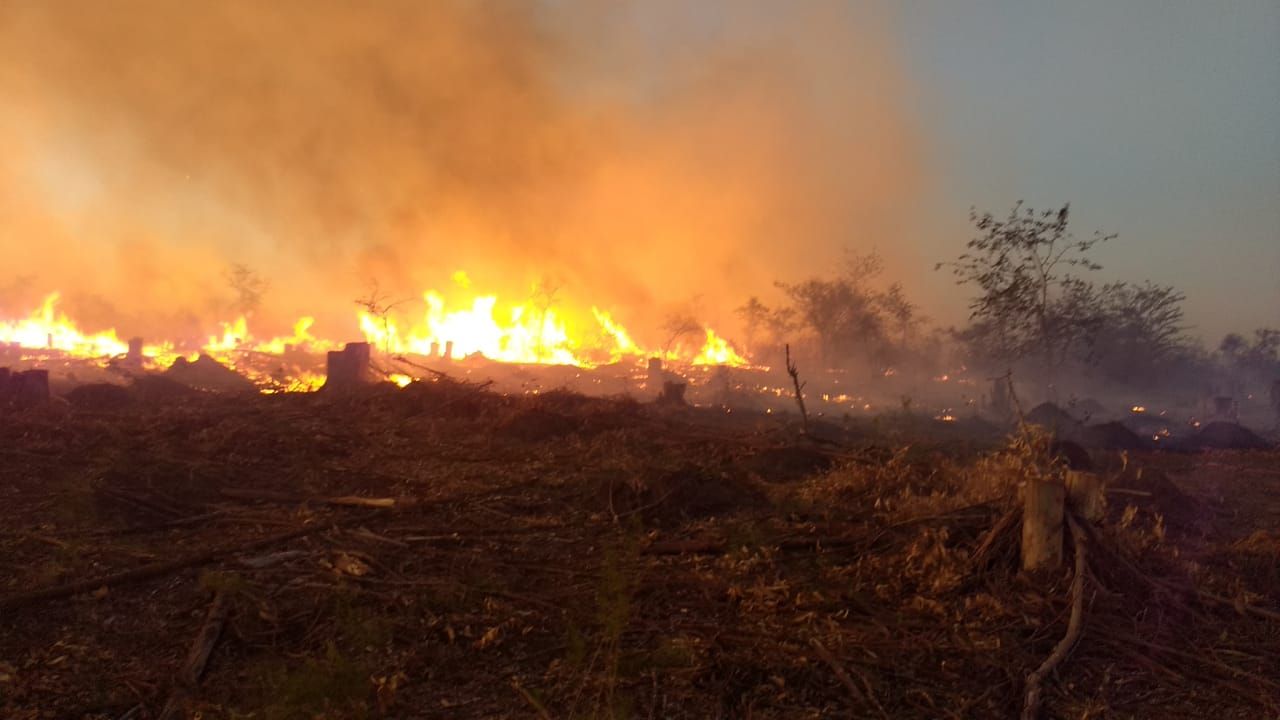INCENDIO COSTA URUGUAY SUR - 2