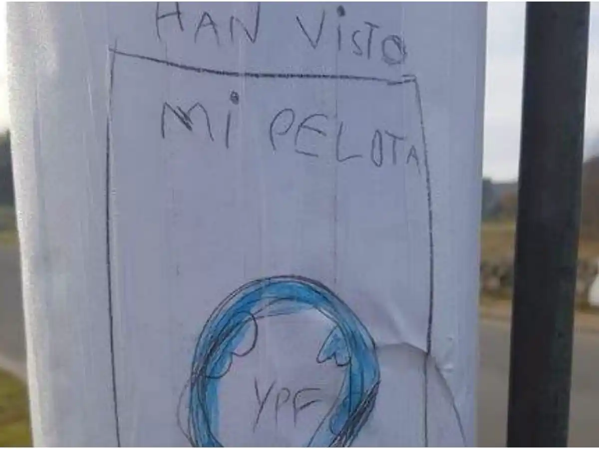 Un nene perdió su pelota, pegó carteles para recuperarla y terminó organizando un evento solidario