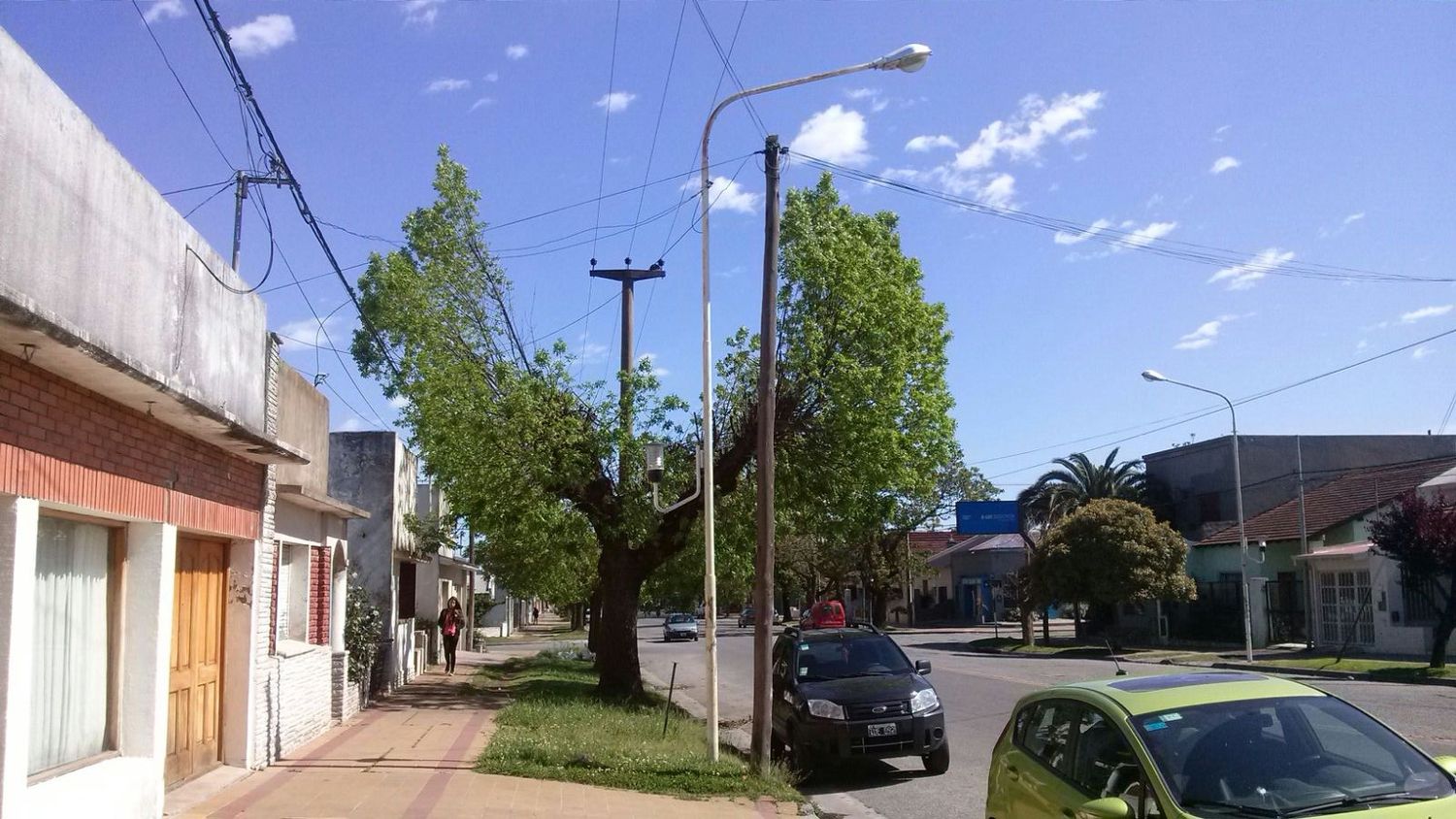 Vecinos de Avenida Bolívar se quejan por poda de árboles que hizo la Usina