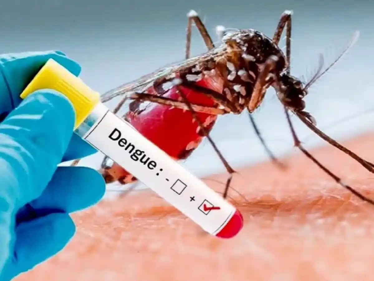 Arroyito activó protocolo de prevención por un caso de dengue 