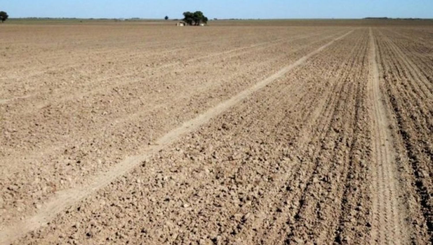 Agro: En Junín advierten sobre sequía “extrema” y dicen que el “dólar soja” es una trampa