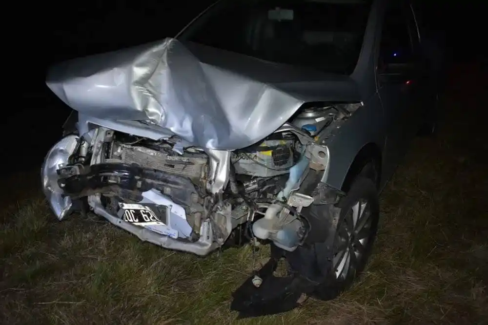 Una camioneta colisionó un animal vacuno en ruta 127