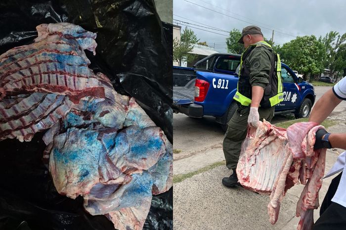 Los Pumas decomisaron 300 kilos de carne sin sellos sanitarios en cinco carnicerías reconquista - 2