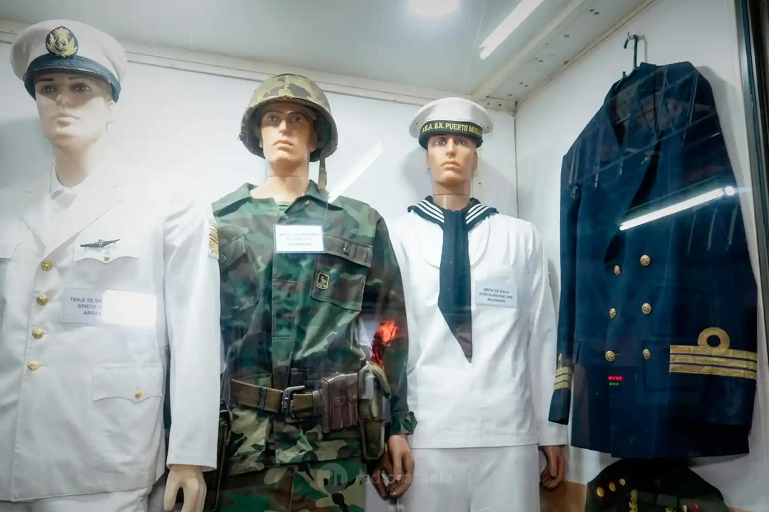 Gerardo Fassi malvinas - 5