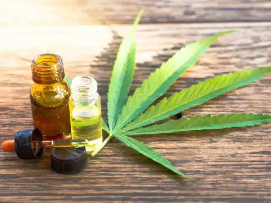 El Senado dio media sanción al marco regulatorio de producción industrial de cannabis medicinal