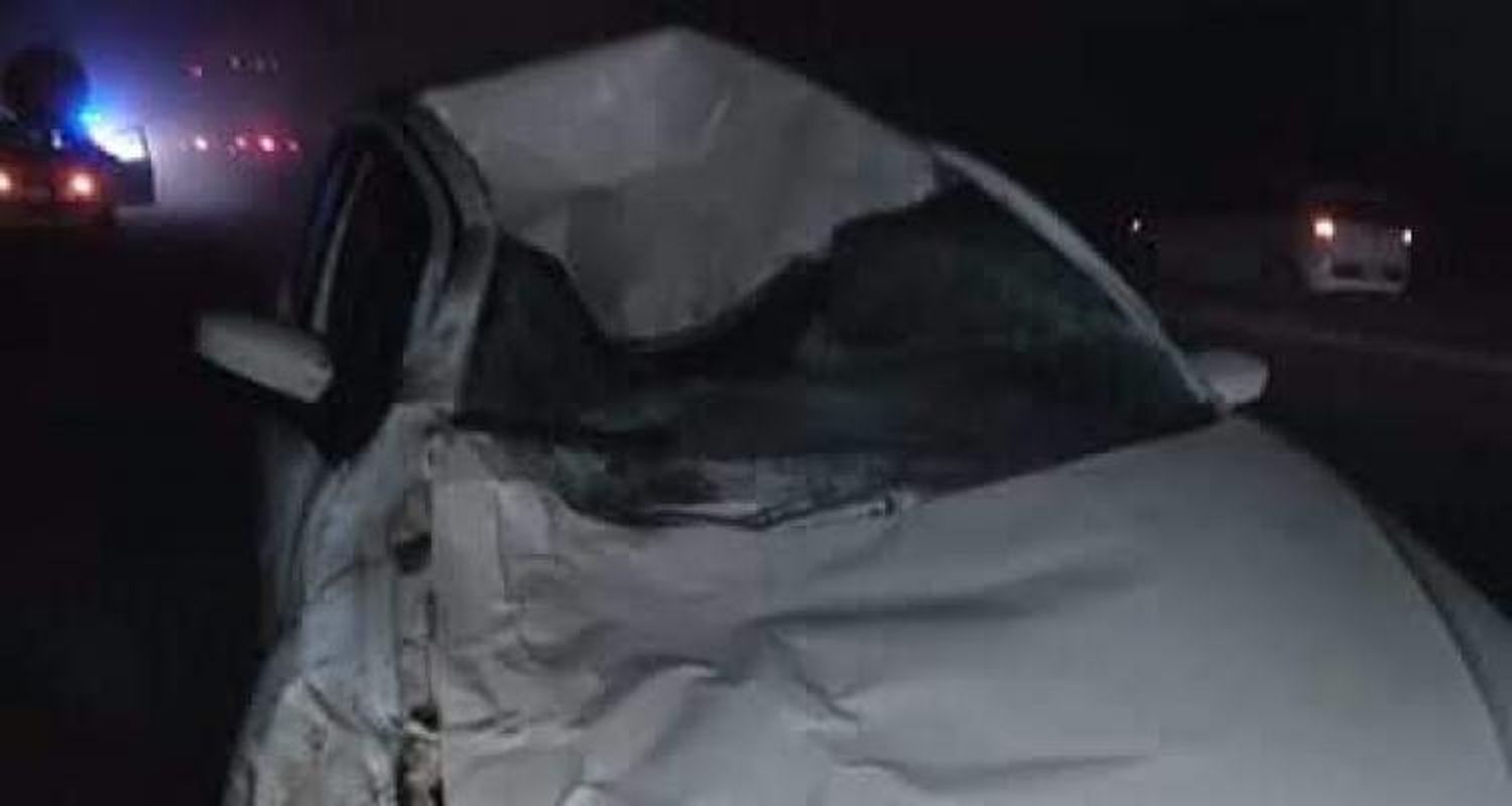Otro accidente provocado por un caballo suelto