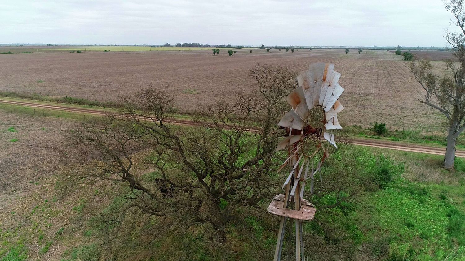 En un mes se definiría si habrá “niña o neutralidad” en la próxima primavera