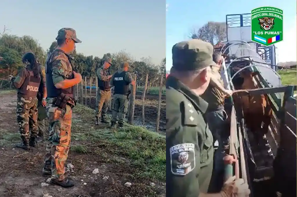 Múltiples allanamientos simultáneos: incautaron una Pick Up y un carro verde