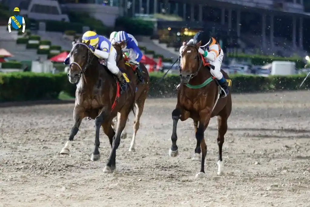 Domingo 15: Actividad en el Hipódromo de La Plata