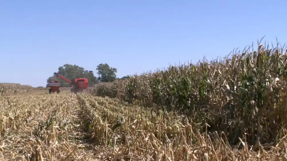 La economía creció 2,6%, impulsada por el agro, según Indec