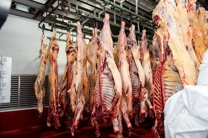 El consumo de carne vacuna se derrumbó 11,5% en el primer semestre del año