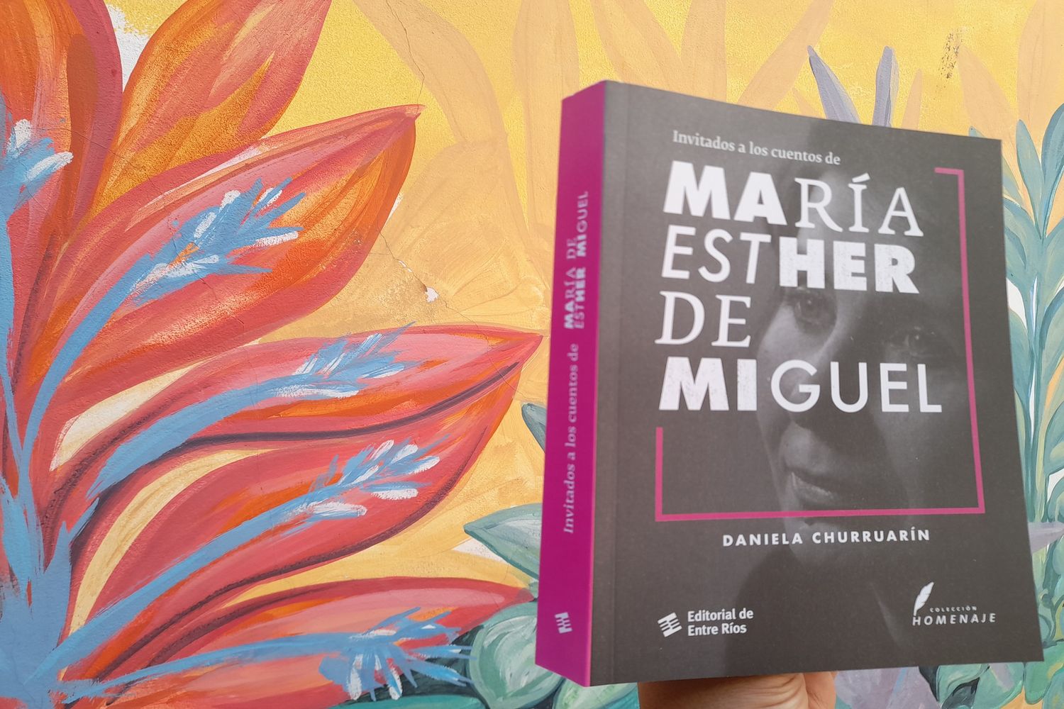 María Esther de Miguel publicada por la Editorial de Entre Ríos