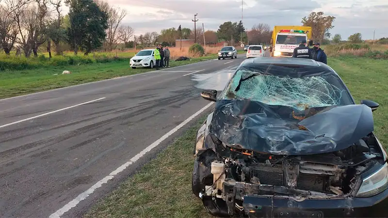Un auto chocó contra dos caballos en la Ruta 11