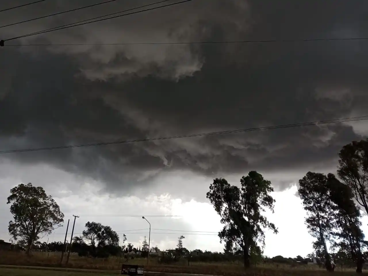 La tormenta dejó calles anegadas, árboles caídos, granizo y algo más