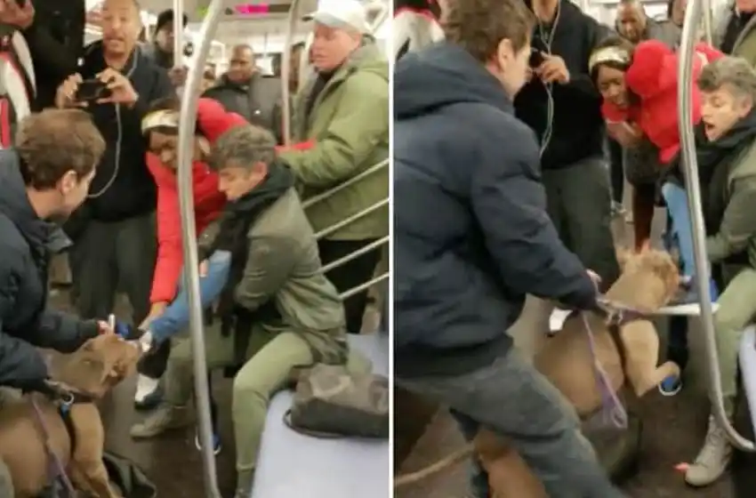 Feroz ataque de un pitbull a una mujer en un metro de Nueva York