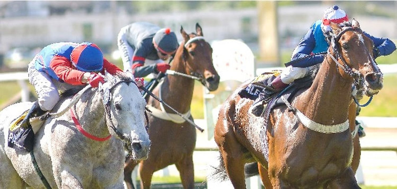 Lunes 23:  Actividad Hipódromo de Palermo