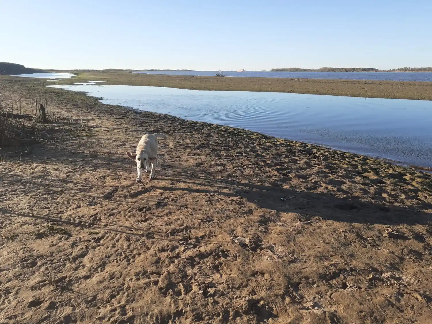 Emergencia hídrica: cómo inscribirse en AFIP para beneficios a los afectados por la bajante del Paraná