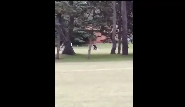 La causa fue caratulada como “lesiones leves”.