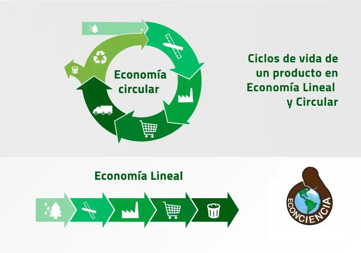 ONG Econcienca Chascomús: ¿Qué es la economía circular?