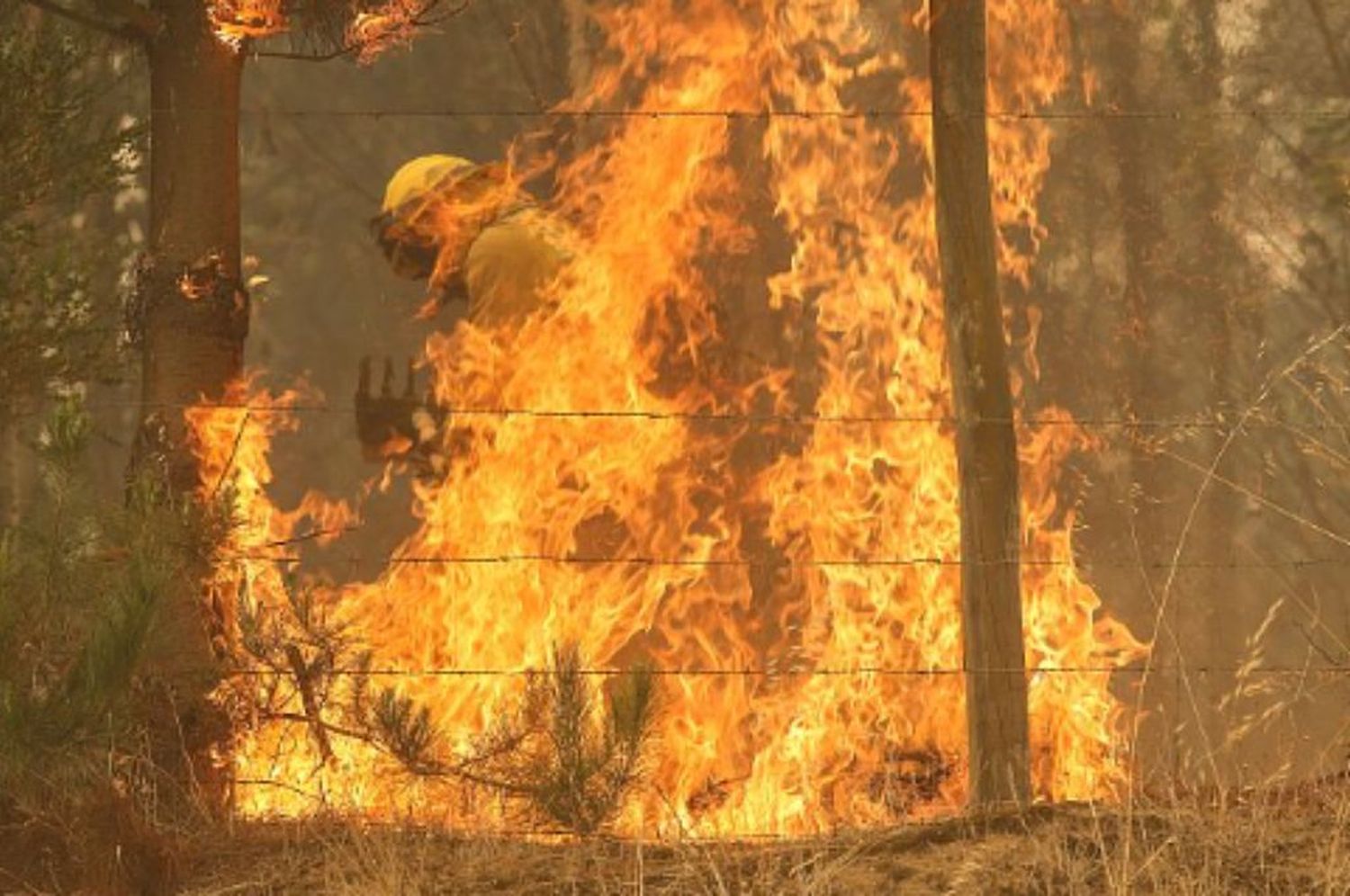 Ascienden a 25 la cifra de muertos por los devastadores incendios en Chile