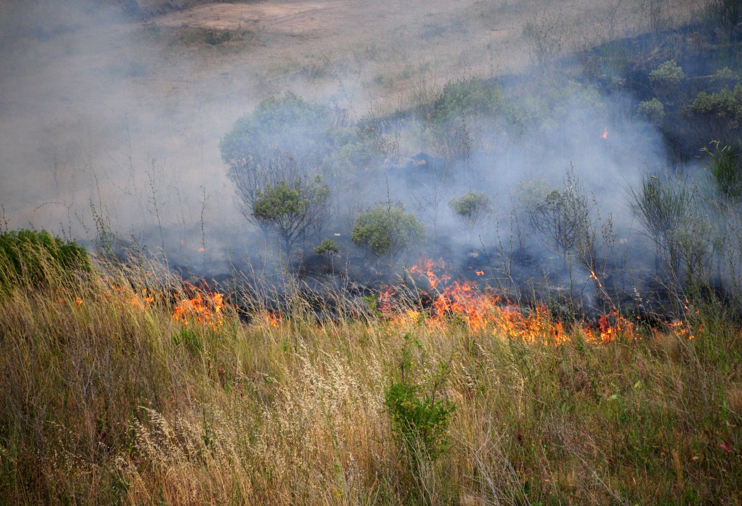 Continúan las alertas por riesgos altos de incendio en Tandil