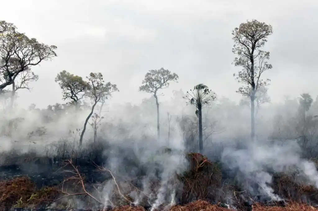 Los incendios forestales en Bolivia  arrasan con áreas protegidas